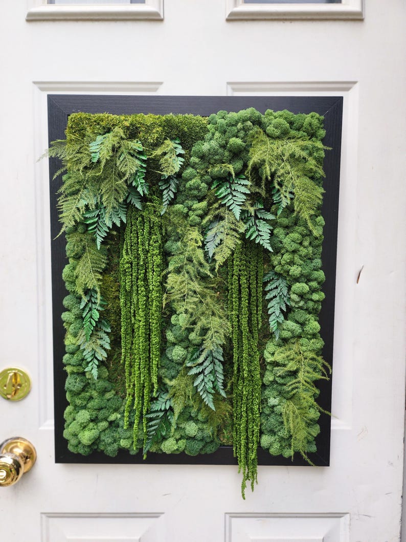 Real moss art wall hanging| gift decor plants| preserved natural living wall | rectangular frame | ferns | nature | wall art | Boho wall art image 5