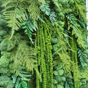 Real moss art wall hanging| gift decor plants| preserved natural living wall | rectangular frame | ferns | nature | wall art | Boho wall art image 6