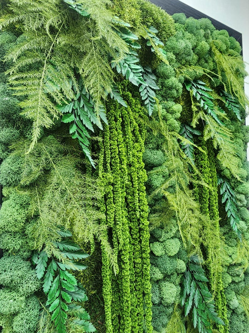 Real moss art wall hanging| gift decor plants| preserved natural living wall | rectangular frame | ferns | nature | wall art | Boho wall art image 6