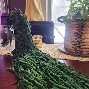 Preserved Green B Hanging Amaranthus | Wedding table decor floral arrangements | no maintenance greenery plants flowers Boho
