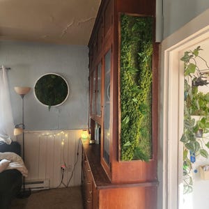 May include: A vintage wooden cabinet with glass doors and a green moss wall art installation. The cabinet has a light wood finish and is decorated with a string of lights. The moss wall art is in a rectangular frame and is made of various shades of green.