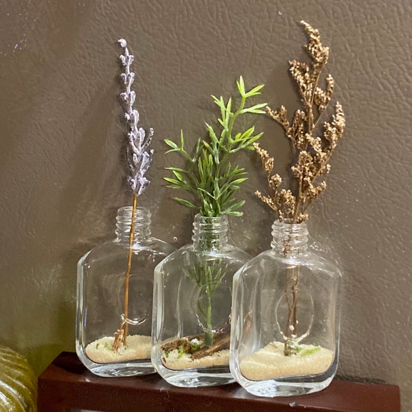 Bud Vases • Small Decorative Glass Bottles • Empty Screw Top Mini Clear Refillable Bottle • Small Case for Propagation • Unique Shape