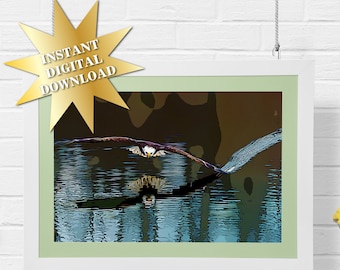 Druckbare Adler auf Wasser Wand Kunstdruck Poster für Vogelliebhaber - 12 Bilder, INSTANT DIGITAL DOWNLOAD!