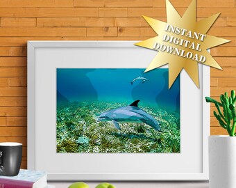 Printable Underwater Dolphin Wall Art Print Poster - 12 Images, INSTANT DIGITAL DOWNLOAD!