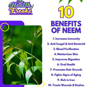 May include: A green neem leaf plant with 10 benefits listed in yellow text on a white background. The benefits include: increases immunity, anti-fungal & anti-bacterial, blood purification, moisturizes skin, improves digestion, oral health, promotes hair growth, fights signs of aging, rich in iron, and treats wounds & rashes.