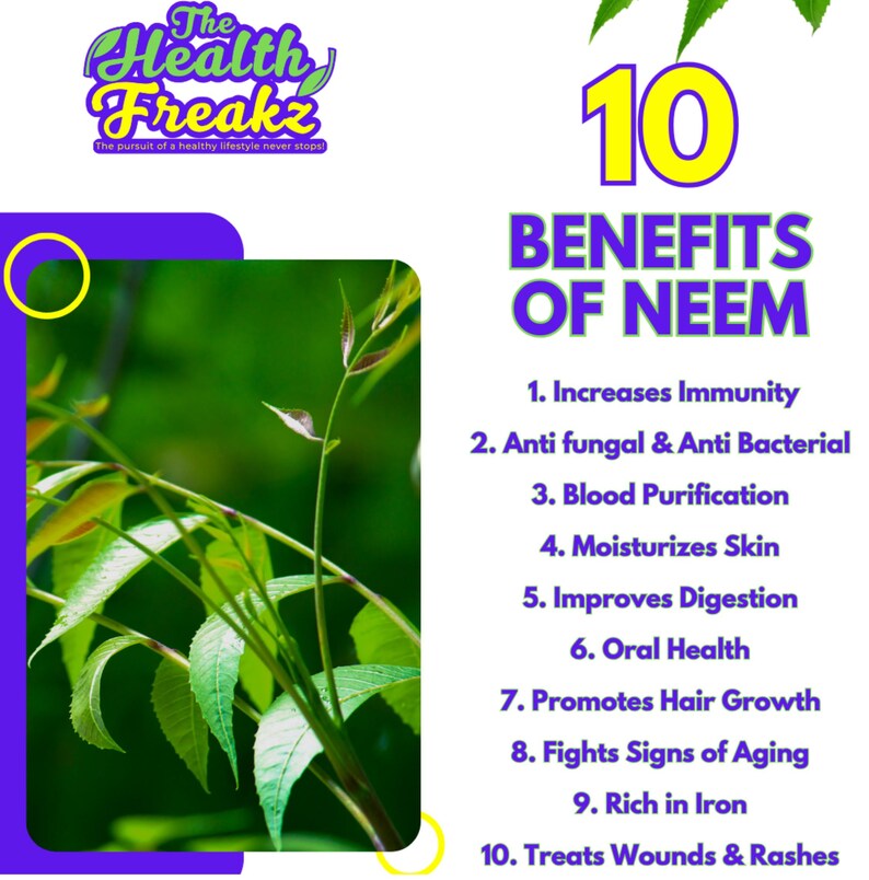 May include: A green neem leaf plant with 10 benefits listed in yellow text on a white background. The benefits include: increases immunity, anti-fungal & anti-bacterial, blood purification, moisturizes skin, improves digestion, oral health, promotes hair growth, fights signs of aging, rich in iron, and treats wounds & rashes.