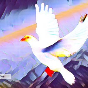 Dove digitaal schilderen afdrukbare Wall Art Download 5 bestanden Heilige Geest schilderijen 5 * 7 wit blauwe decoratie briefkaart JPG PNG PDF