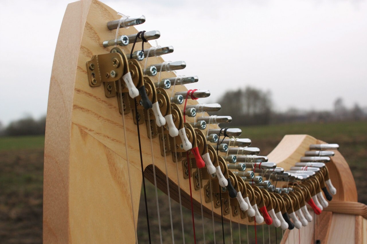 Lever Harp 24 strings with pickup Prohor Lapin Etsy