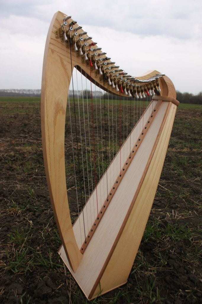 Lever Harp 24 strings with pickup Prohor Lapin Etsy