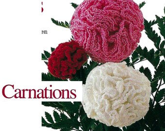 Patrón de crochet de claveles, Patrón de crochet vintage de los años 80, Patrones de crochet de San Valentín, Ramo de flores de ganchillo