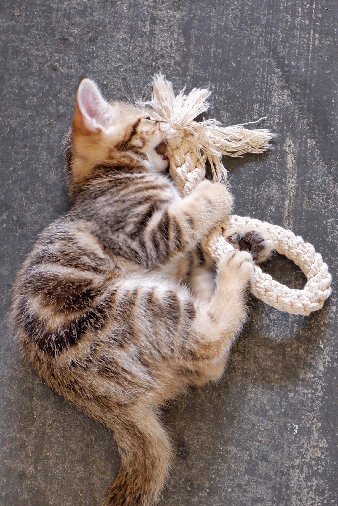 Handmade macrame dog toy Etsy