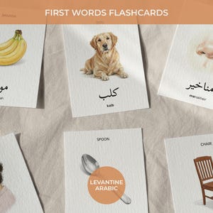 Levantine Arabic First Words Montessori Cards, Bilingual Toddler Flashcards w/ English & Phonetics, Realistic Shami Dialect Digital Download