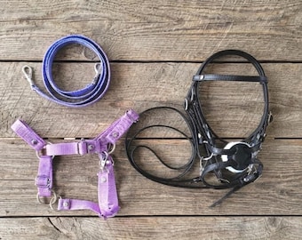 Hobby Horse Mexican Bridle & Violet Halter with Reins, Adjustable, Universal Size