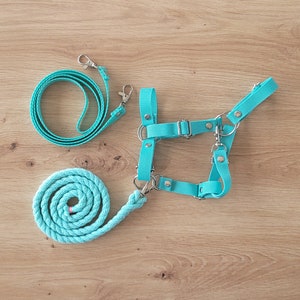 Hobby Horse Halter + Reins + Lead Rope, Hobby Horse Accessories, Hobby Horse Set MINT, universal size (A4 to A3 and bigger)