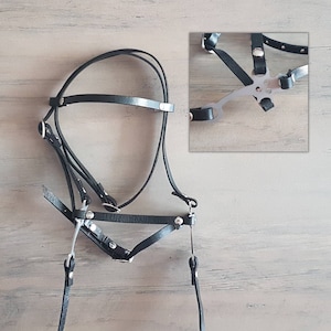 Op de afbeelding: Zwart lederen halster met zilveren beslag en verstelbare riemen. Het halster heeft een uniek ontwerp met een metalen stuk dat de riemen verbindt.