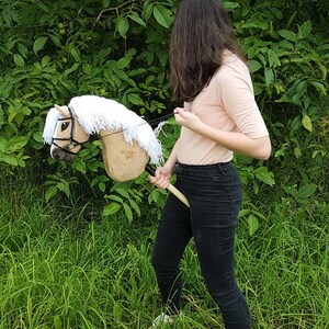 May include: A person in a pink shirt and black pants is holding a brown and white hobby horse with a white mane and tail. The person is standing in a grassy field.
