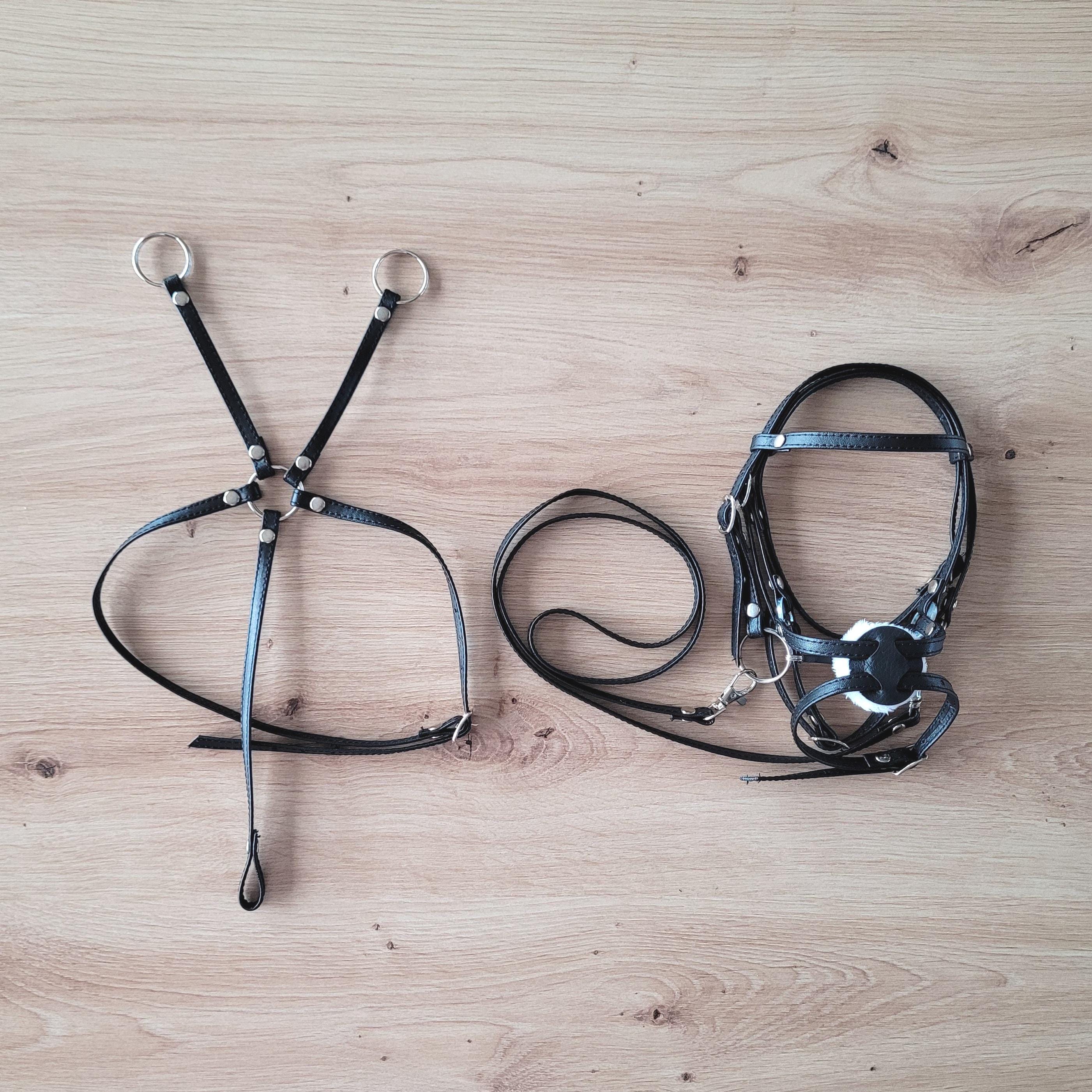 🐴 Martingale De Course En Cuir Berlin – Harnais En Chêne Personnalisé Western Horse Tack. Neuf !