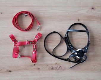 Licol pour cheval de loisir avec rênes - Cuir rouge/noir - France