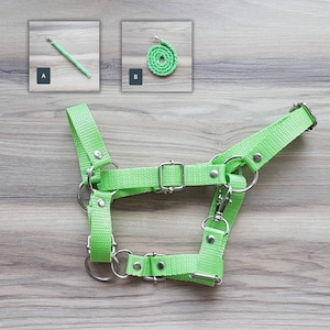 Hobby horse HALTER + lead rope, green tape, hobby horse accessories, fully adjustable, size L universal (from A4 to A3)