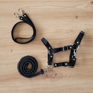 Hobby Horse Halter + Reins + Lead Rope, Hobby Horse Accessories, Hobby Horse Set BLACK, universal size (A4 to A3 and bigger)