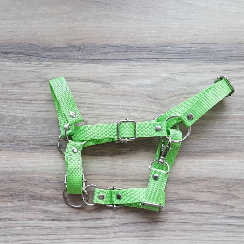 Hobby Horse Fully Adjustable Halter GREEN Tape Hobby Horse Etsy