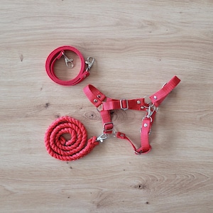 Hobby Horse halter + Reins + Lead Rope, Hobby Horse Accessories set, Hobby Horse Set RED, universal size (A4 to A3 and bigger)