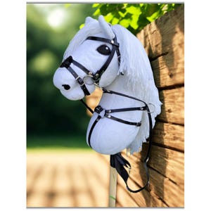 Hobby Horse for Hobby Horsing – Handmade Stick Horse with Tack