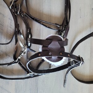Bridle Leather 1 1/4