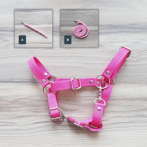 Hobby horse HALTER + lead rope, pink tape, hobby horse accessories, fully adjustable, size L universal (from A4 to A3)