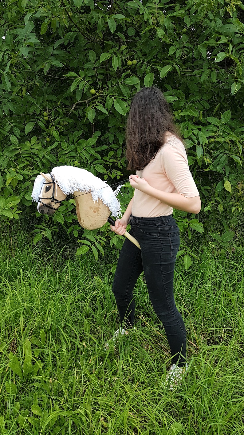 K&ouml;nnte beinhalten: Eine Person in einem rosa Shirt und schwarzen Hosen h&auml;lt ein braunes und wei&szlig;es Steckenpferd mit einer wei&szlig;en M&auml;hne und einem wei&szlig;en Schweif. Die Person steht auf einer gr&uuml;nen Wiese.