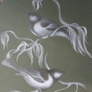 Vogels tekenen Potloodtekening van een vogel Rysunek ołówkiem Ptaszki Sikorki