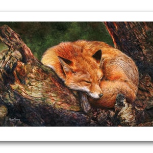 Limited Edition Fox Print, Signed Giclee Watercolour Wildlife Art Unframed Print