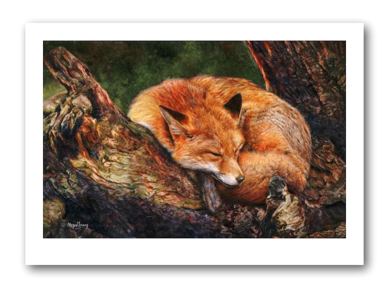 Limited Edition Fox Print, Signed Giclee Watercolour Wildlife Art Unframed Print