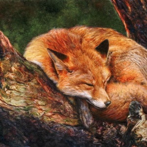 May include: A watercolor painting of a red fox curled up and sleeping on a tree trunk. The fox's fur is a rich orange color, and its eyes are closed. The tree trunk is brown and has a rough texture.