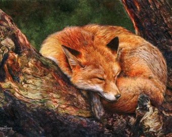 Limited Edition Fox Print, Signed Giclee Watercolour Wildlife Art