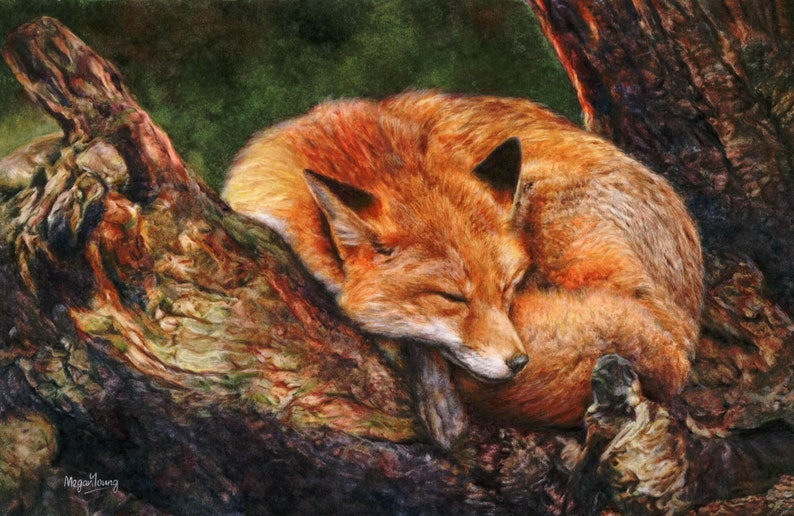May include: A watercolor painting of a red fox curled up and sleeping on a tree trunk. The fox's fur is a rich orange color, and its eyes are closed. The tree trunk is brown and has a rough texture.