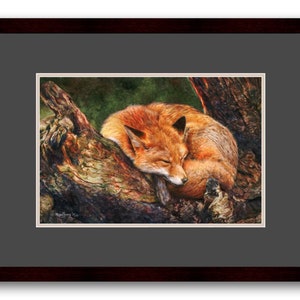 Limited Edition Fox Print, Signed Giclee Watercolour Wildlife Art Framed Print BLACK