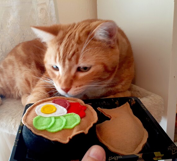 take cat toy