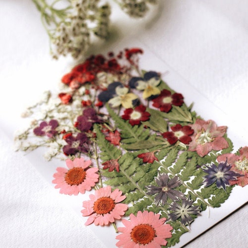 Dried Pressed Flower Pack 21 Etsy UK