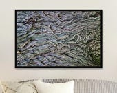 Tree Bark Texture Photography Print: Abstract Nature Art, Unframed Matte