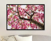 Cherry Blossom Photography Print: Pink Spring Tree, Foggy Sky - Unframed Matte