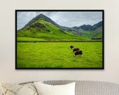 Lake District Photography Print: Summer Valley, Brown Sheep, Farmhouse Decor - Unframed Matte