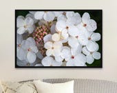 White Hydrangea Macro Photography Print: Delicate Floral Botanical Unframed Matte Wall Art