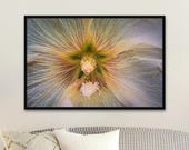 Hollyhock Macro Photography Print: Delicate Floral Unframed Matte Wall Art