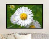 Daisy Photography Print: Close-Up Wildflower Art, Unframed Matte
