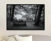 Derwent Water Bench Photography Print: Serene Landscape, Unframed Matte