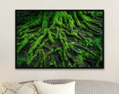 Forest Root System Photo Print: Vibrant Green Algae, Unframed Matte Wall Art