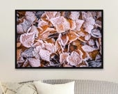 Frost Kissed Autumn Leaves Photography Print: Unframed Matte Wall Art