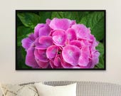 Pink Hydrangea Photography Print | Floral Wall Art | Unframed Matte Print| Nature-Inspired Home Décor
