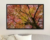 Red Leaf Tree Canopy Print: Matte Botanical Nature Wall Art - Unframed Matte